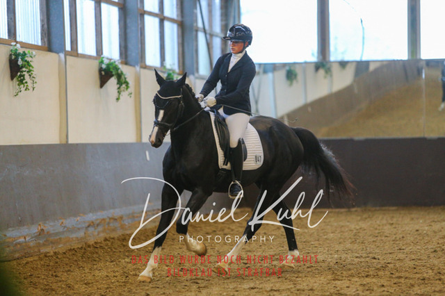 IMG_7737 | Turniersportfotografie; Pferdefotografie; Dressurfotografie