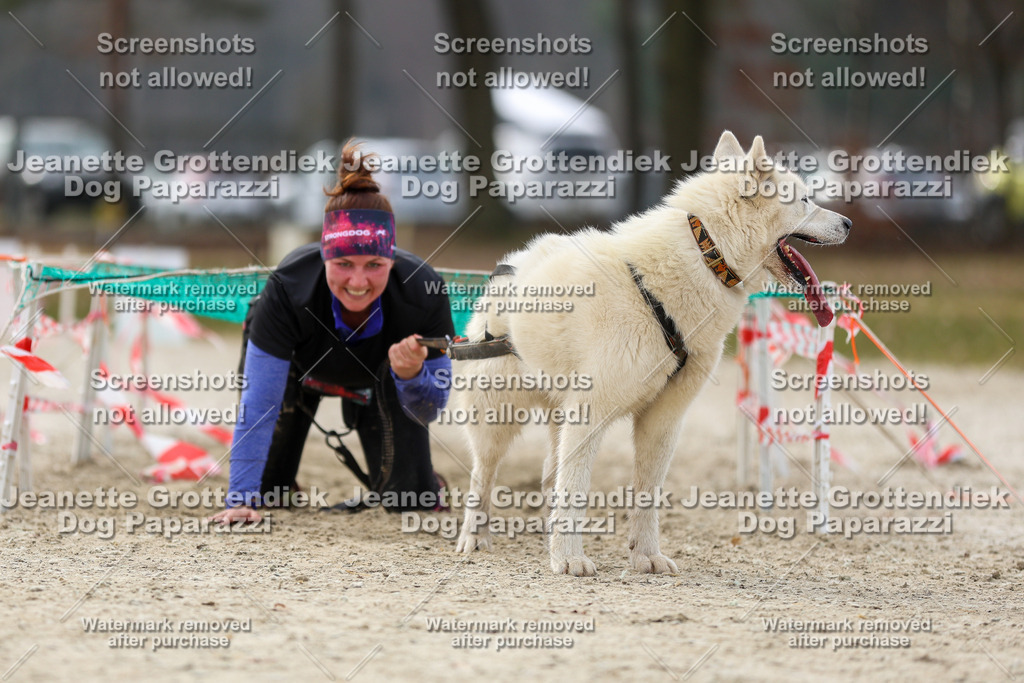 Dog Paparazzi - Strongdog North Mrz26-5747 | Dog Paparazzi Jeanette Grottendiek Fotografie & Videografie - Realisiert mit Pictrs.com