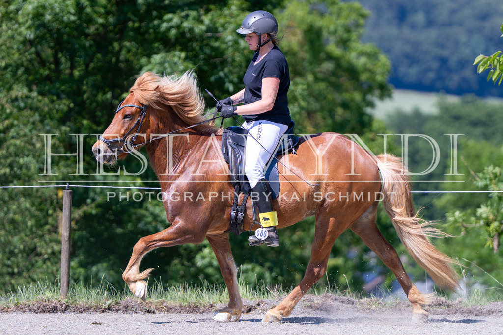KAI05916 | Ihr sucht einen Fotografen für eure nächste OSI? Ich begleite auch euer Turnier für Islandpferde fotografisch.  - Realisiert mit Pictrs.com