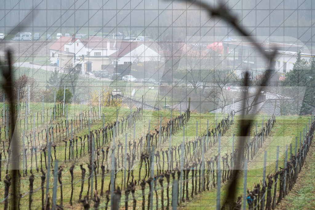 33. KTM Kamptal Trophy | 29.03.2025: 33. KTM Kamptal Trophy in Zöbing, Niederösterreich, ÖsterreichFoto: © 2025 Martin Bihounek / martinbihounek.comInsta: @martinbihounekcomFB: @martinbihounekphotography