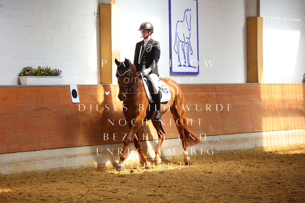 IMGT4725 | pl-fotografie