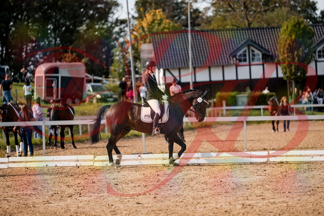 2026_10_03_Siefer-Hof_132304_Z63_83950651 | Professionelle Reitsport-, Turnier- und Eventfotografie von Robert Broda. Galerien mit ausgewählten und bearbeiteten Bildern direkt online ansehen und bestellen.