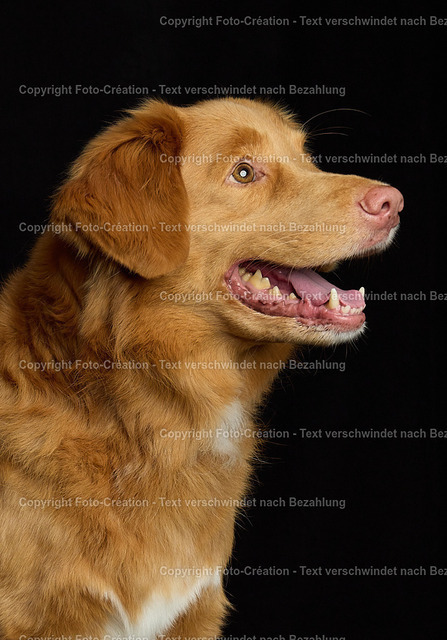 30.08.25 HSW Luzern Samstag0742 | foto-création - Realisiert mit Pictrs.com