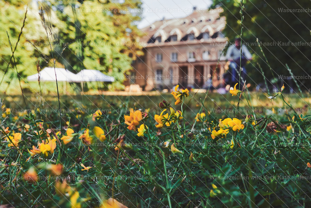 Leipzig Grünau – Sack'sche Villa (Parkschloss Grünau) Haus 16 anlässlich Hörspielsommer zum Grünauer Kultursommer (Sommer 2022) | Leipzig Grünau – Sack'sche Villa (Parkschloss Grünau) Haus 16 anlässlich Hörspielsommer zum Grünauer Kultursommer (Sommer 2022) - Realisiert mit Pictrs.com