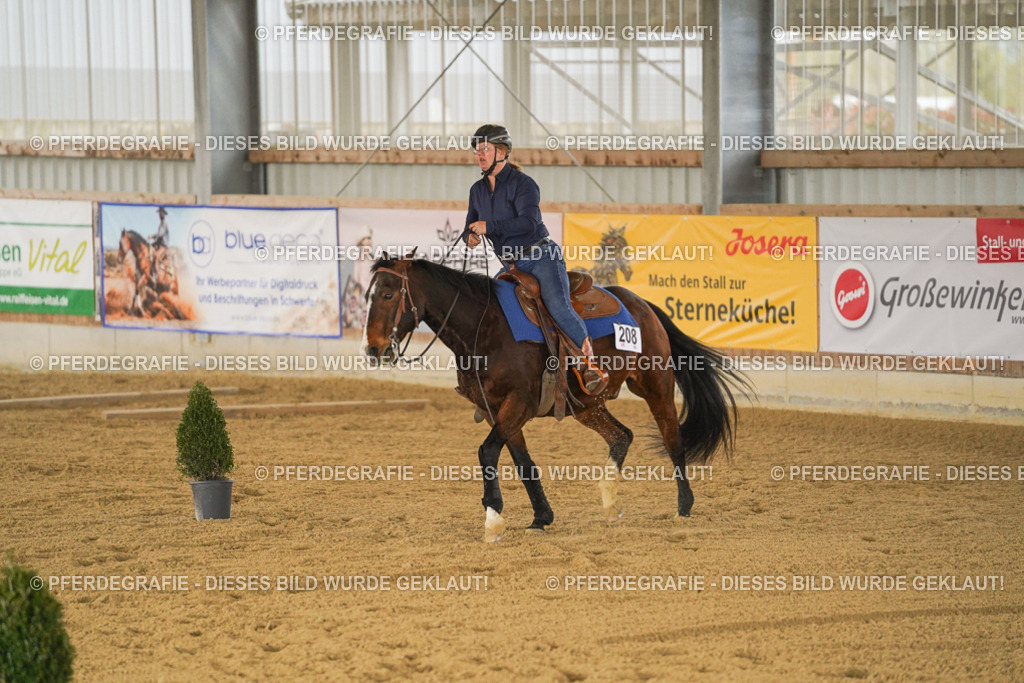 DSC04421 | Pferdegrafie