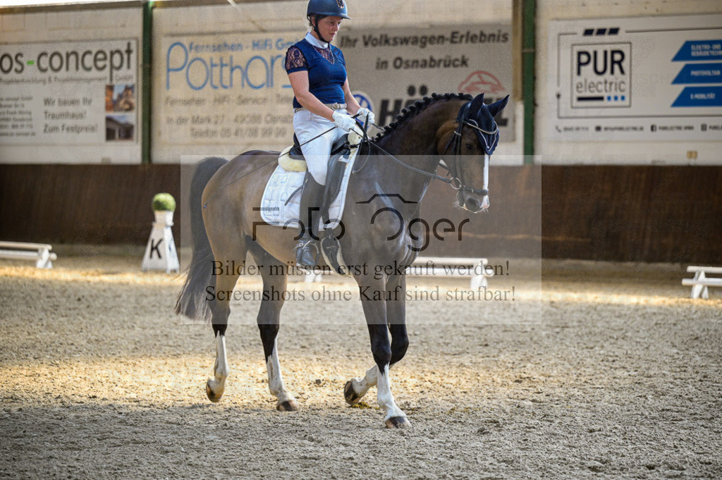 Reitturnier Voxtrup | Entdecke hochwertige Reitturnierfotos von Foto Oger. Professionell, emotional und authentisch – jetzt Lieblingsmomente im Shop bestellen.Deutschlandweite Turnierfotografie. - Realisiert mit Pictrs.com