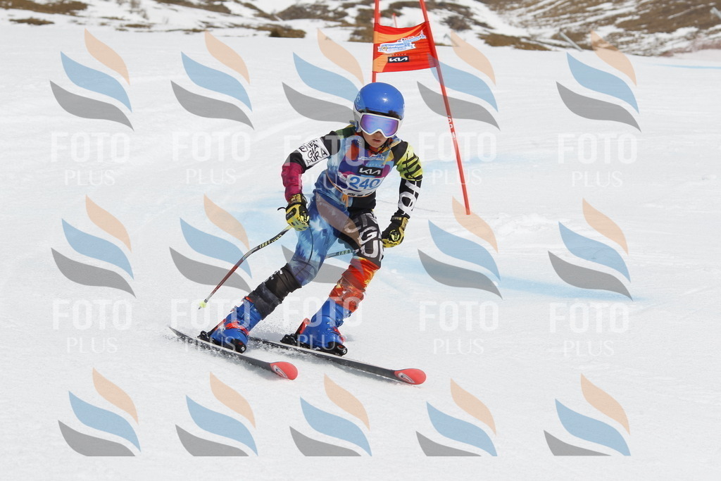 _U3G2688 | holidayphoto