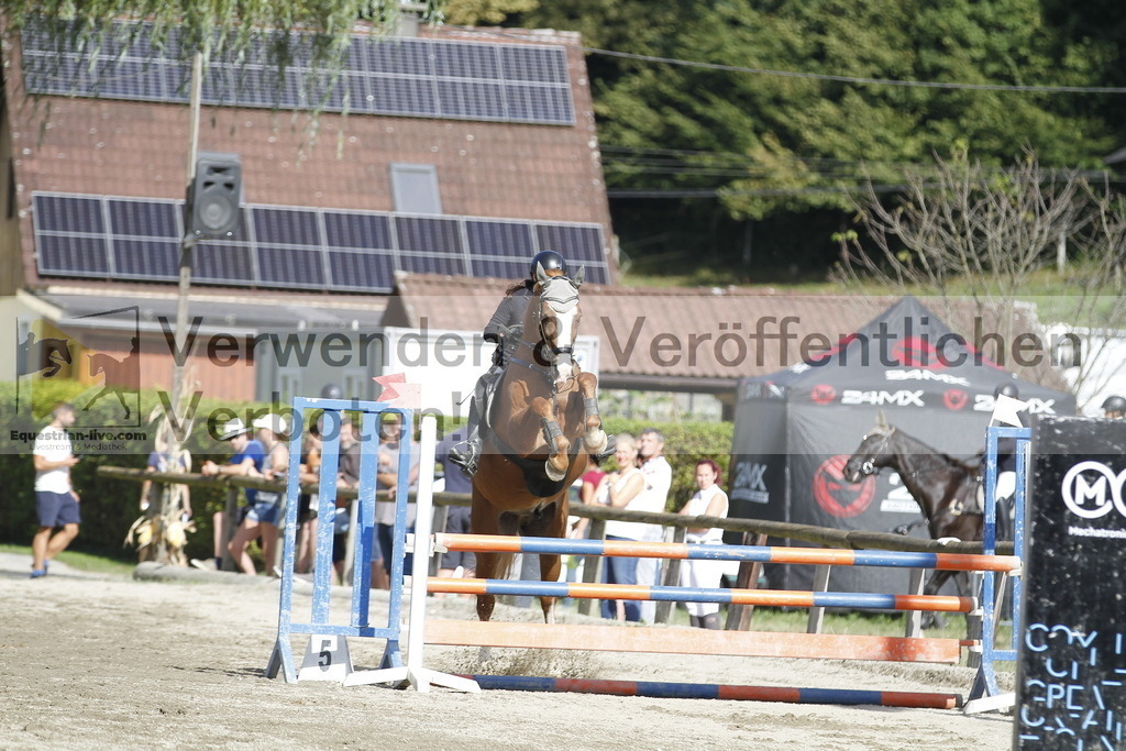 _MG_3597 | equestrian-live-com