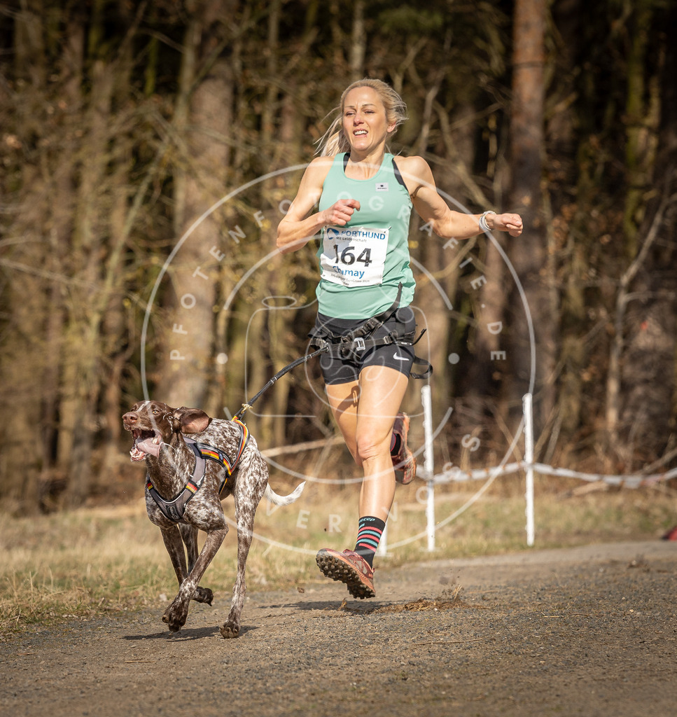 DV3A5599 | Hundefotografie, Tierfotograf, Pfotenfotografie, Fotoshooting Hund, Hunde Portrait, Hundesport, Hundeportraits, Heideshooting, Hunde, Sportfotograf, Hundefotograf, Turnierhundsport, THS,  - Realisiert mit Pictrs.com