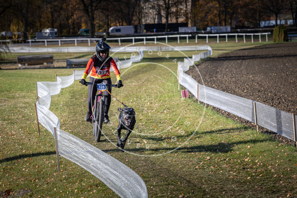 CaniXpix_DV3A6670 | Hundefotografie, Tierfotograf, Pfotenfotografie, Fotoshooting Hund, Hunde Portrait, Hundesport, Hundeportraits, Heideshooting, Hunde, Sportfotograf, Hundefotograf, Turnierhundsport, THS,  - Realisiert mit Pictrs.com