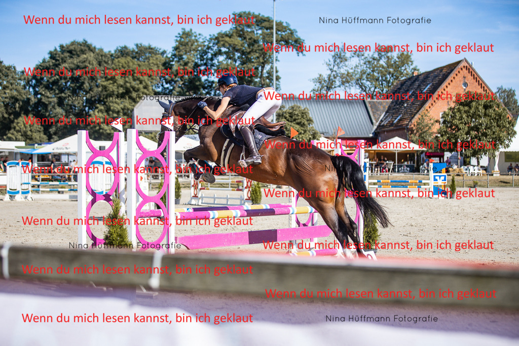 BK1A7261 | Turnierbilder Turnierfotos Nina Hüffmann Turnierfotografie Pferdefotografie Tierzeichnung Haustierzeichnung Pferdezeichnung Hundezeichnung Videograf  - Realisiert mit Pictrs.com
