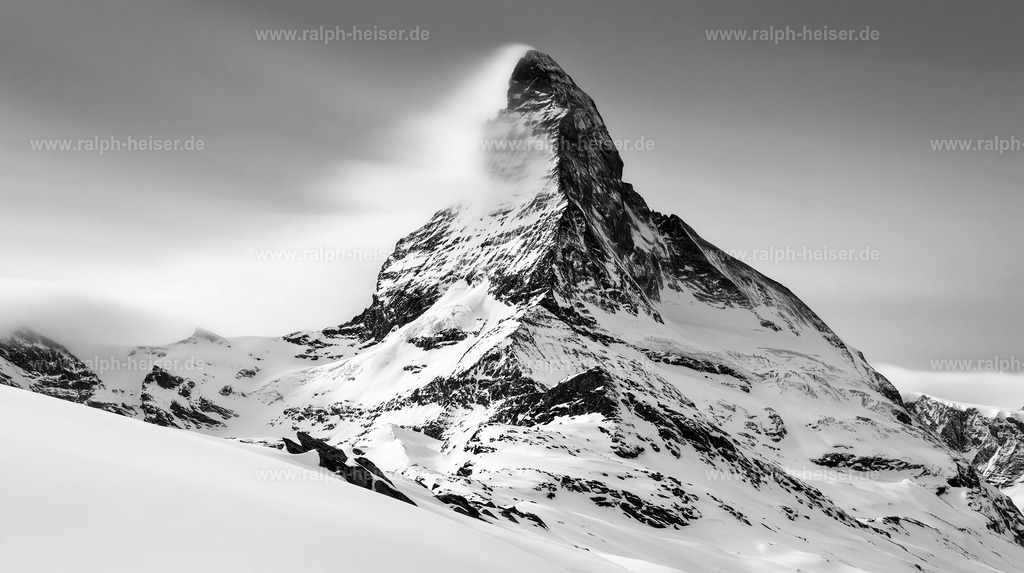 KI00198 | Wandbilder, Bilder, Fotograf in Marburg, Tierbilder, Wandfotos, Bilder Shop, Günstige Bilder, Schwarz-Weiß Bilder, Ralph Heiser