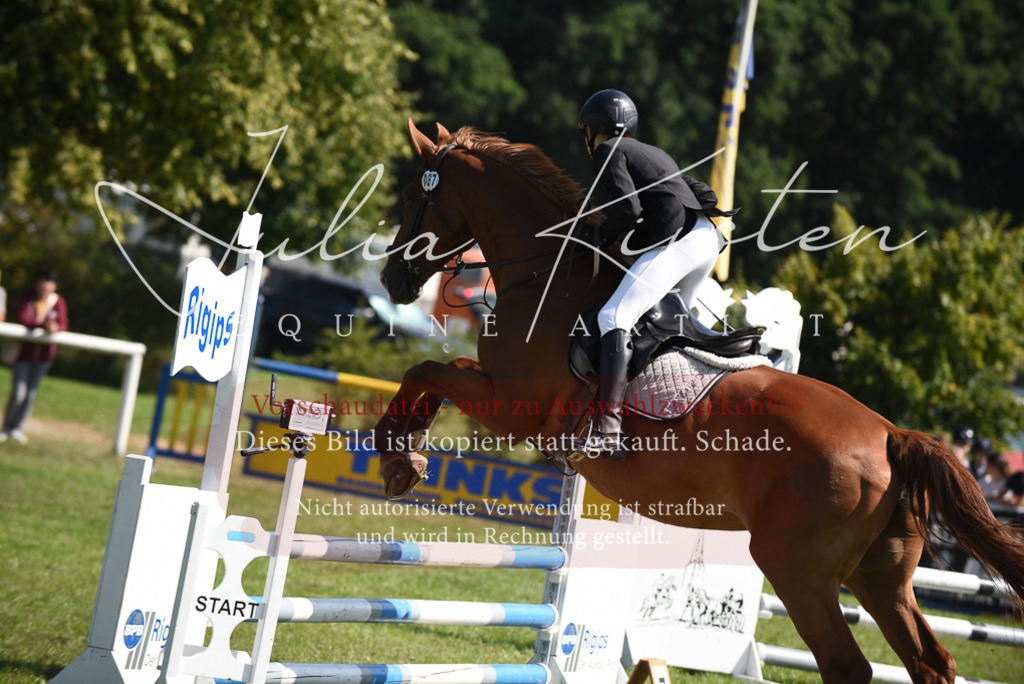 DSC_9197 | Pferde- und Turnierfotografie in Westsachsen. Pferdeportraits, Auftragszeichnungen und intuitive Kunst.