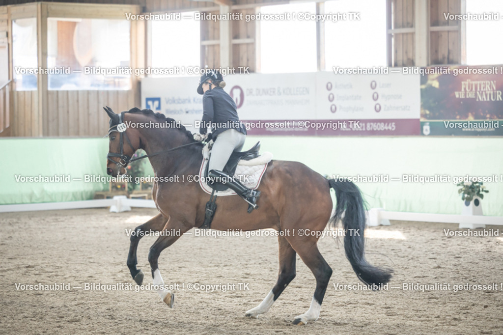 _D5A0800 | Emotionale Pferde- & People-Fotografie rund um Heidelberg, Leimen & Umgebung. Natürliche Fotos von Pferd, Mensch & Familie. Jetzt Termin sichern!