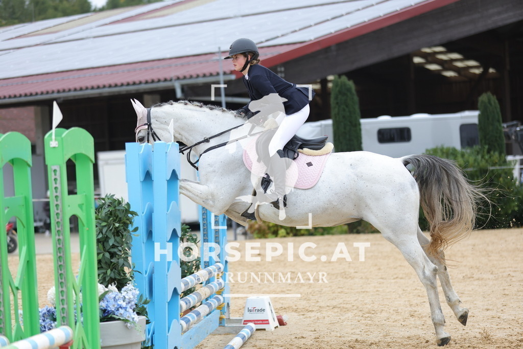 0P6A1298 | Willkommen bei Brunnmayr - Design & Fotografie – Ihrem Spezialisten für Reitturniere und Pferdeveranstaltungen in Oberösterreich, Salzburg und Bayern! Seit über 17 Jahren sind wir leidenschaftlich dabei.