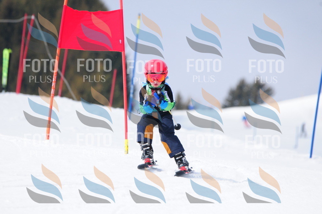 A3635 | holidayphoto