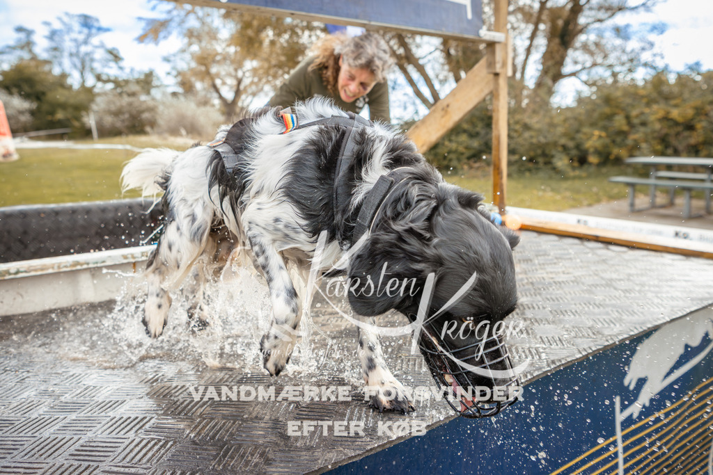 1345_ZZ92077-2 | kk-dogfotos