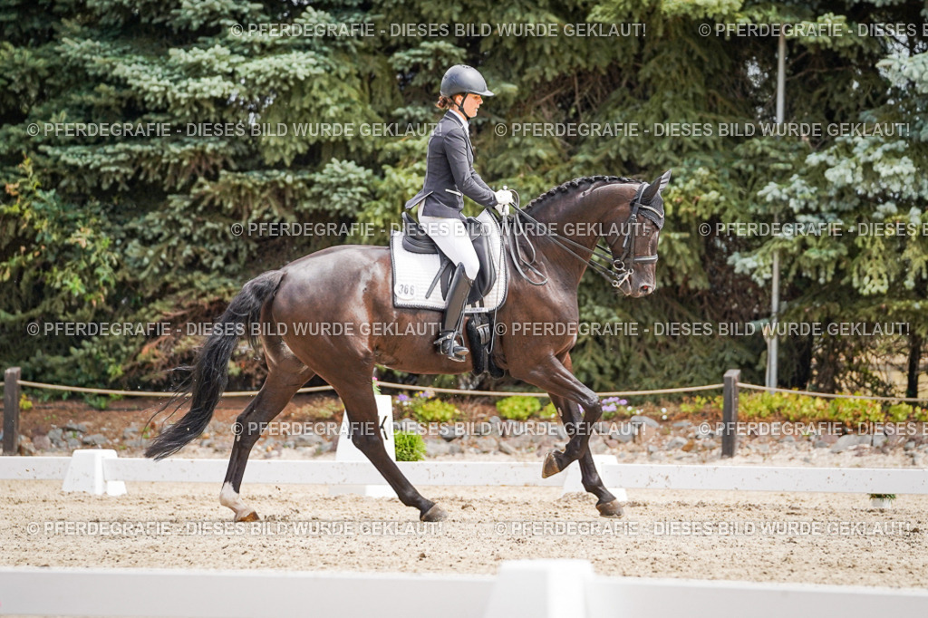 DSC03036 | Pferdegrafie