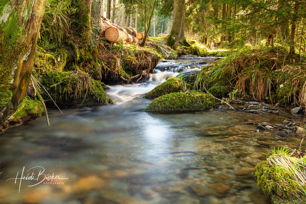 Hartmecke bei Oberkirchen | Hartmecke im Hartmecketal bei Oberkirchen im Schmallenberger Sauerland - Realisiert mit Pictrs.com
