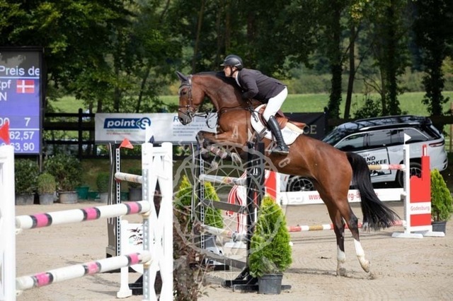 2B4A1286 | pixelfaenger - Realisiert mit Pictrs.com