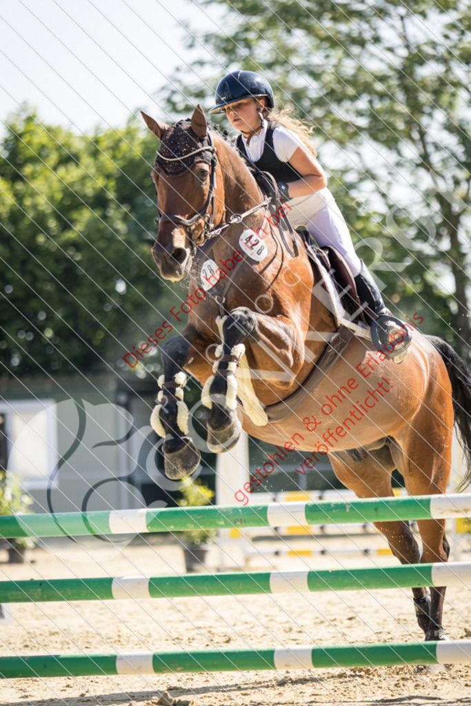 IMG_2956 | Sport-, Event- und Tierfotos in Profiqualität. Einfach auswählen, bestellen und herunterladen. Dein Moment – perfekt festgehalten.