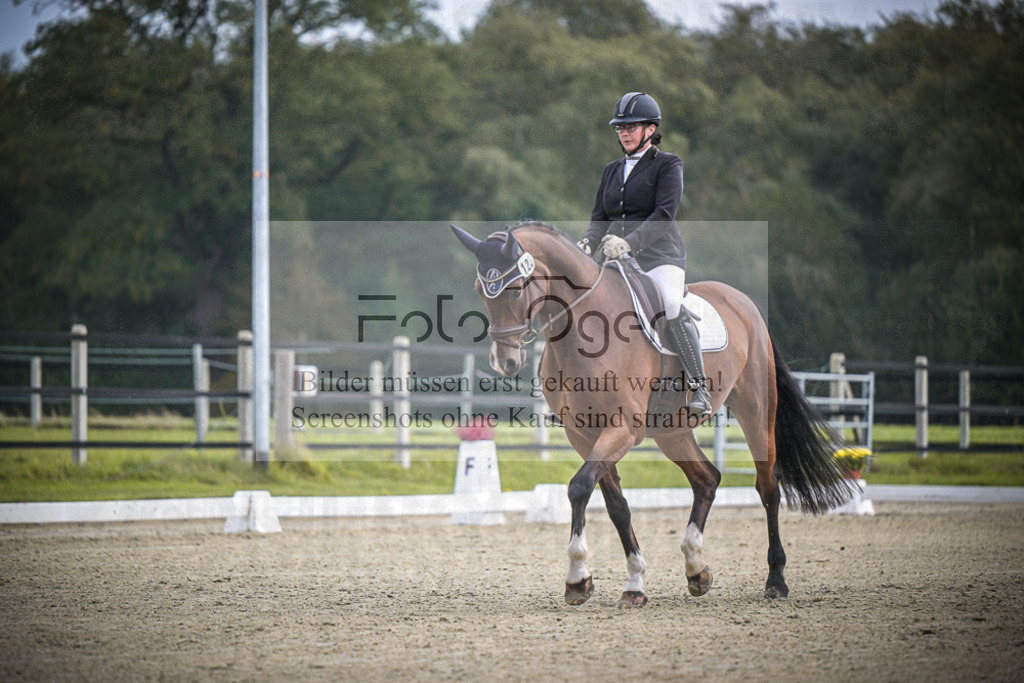 DOS_B494 | Entdecke hochwertige Reitturnierfotos von Foto Oger. Professionell, emotional und authentisch – jetzt Lieblingsmomente im Shop bestellen.Deutschlandweite Turnierfotografie. - Realisiert mit Pictrs.com