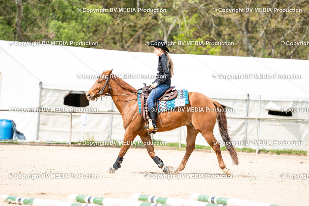 Heiligenwald Tag 2-613 | dv-media-shop - Realisiert mit Pictrs.com