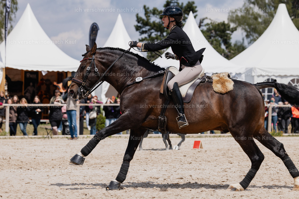 PI26_SP_StoibphotographyC2_C3584.CR3 | working equitationturnier fotograf videograf stoibphotography marixx film working equitation deutschland reitsport turnierfotografie eventfotografie equestrian events
