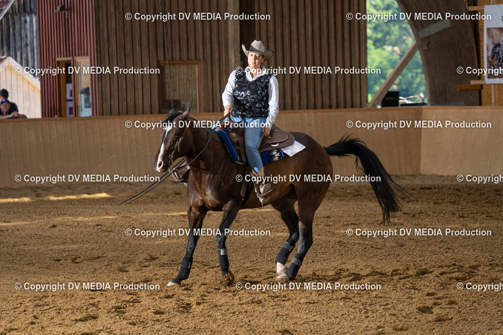 DSC00158 | dv-media-shop - Realisiert mit Pictrs.com