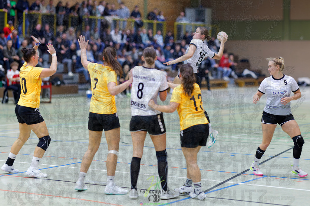 Frauen Oberliga Mitte (HHV); HSG Eibelshausen/Ewersbach - HSG Linden | Frauen Oberliga Mitte (HHV); HSG Eibelshausen/Ewersbach - HSG Linden am 15.11.2025 in Eibelshausen (Holderberghalle)Photo © 2025 - Jörg Heinrich - Realisiert mit Pictrs.com