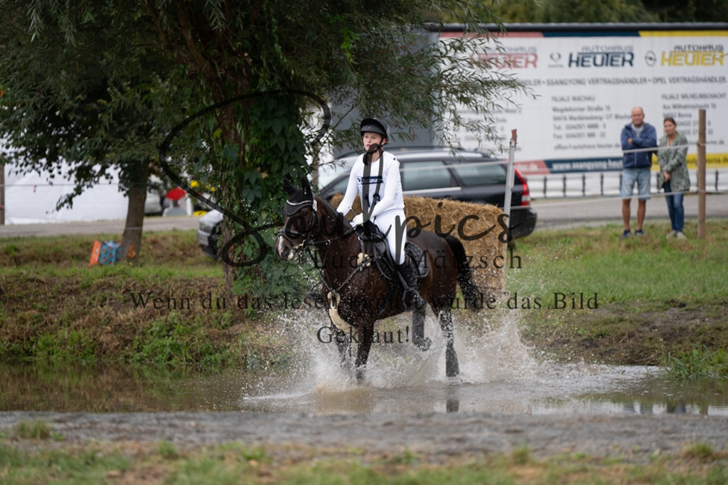 A7V00626 | Pferdefotograf