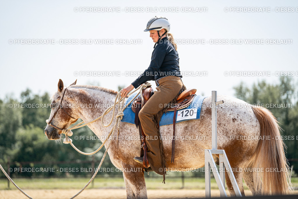 DSC00610 | Pferdegrafie