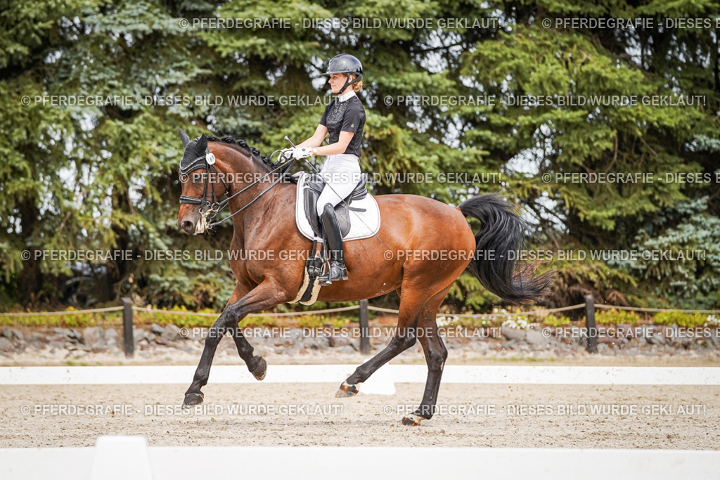 DSC06091 | Pferdegrafie