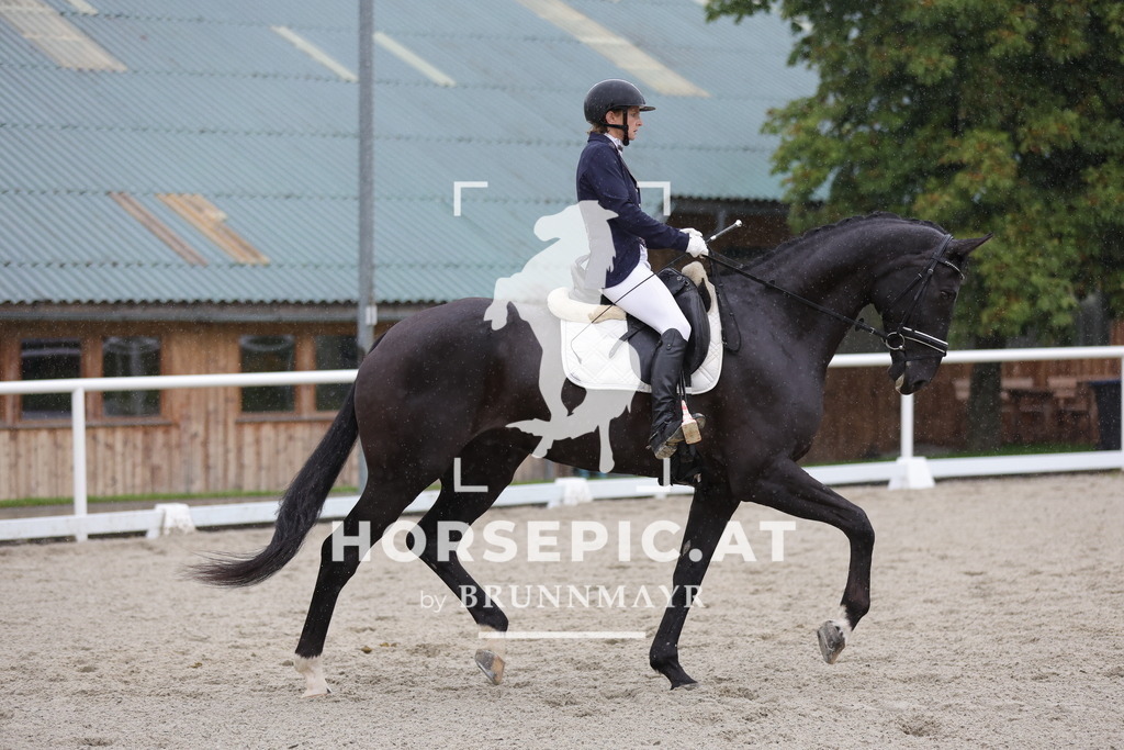 0P6A0375 | Willkommen bei Brunnmayr - Design & Fotografie – Ihrem Spezialisten für Reitturniere und Pferdeveranstaltungen in Oberösterreich, Salzburg und Bayern! Seit über 17 Jahren sind wir leidenschaftlich dabei.