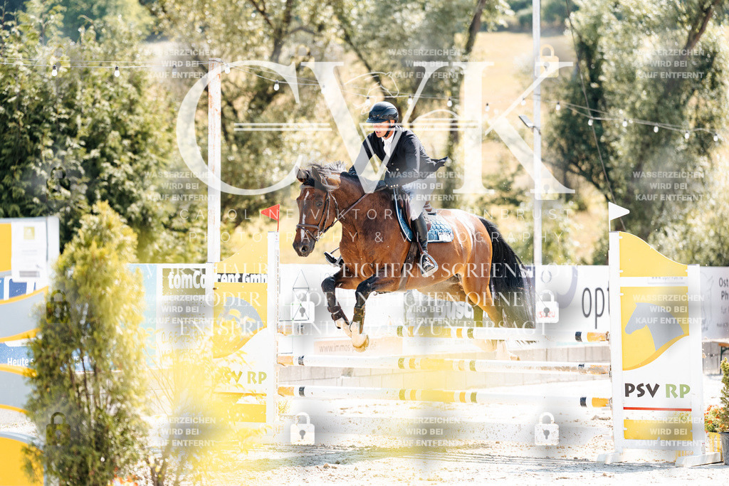 CK909072 | Turnierfotografie Pferdefotografie Trier Rheinland-Pfalz Pferdesport Reitsport Tierfotografie Sportfotografie Pferdevideo Pferdevideografie Equestrianvideography equestrianphotography  - Realisiert mit Pictrs.com