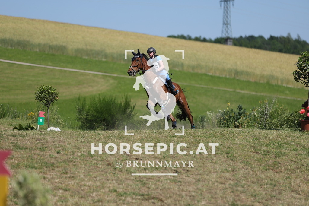 0P6A5857 | Willkommen bei Brunnmayr - Design & Fotografie – Ihrem Spezialisten für Reitturniere und Pferdeveranstaltungen in Oberösterreich, Salzburg und Bayern! Seit über 17 Jahren sind wir leidenschaftlich dabei.