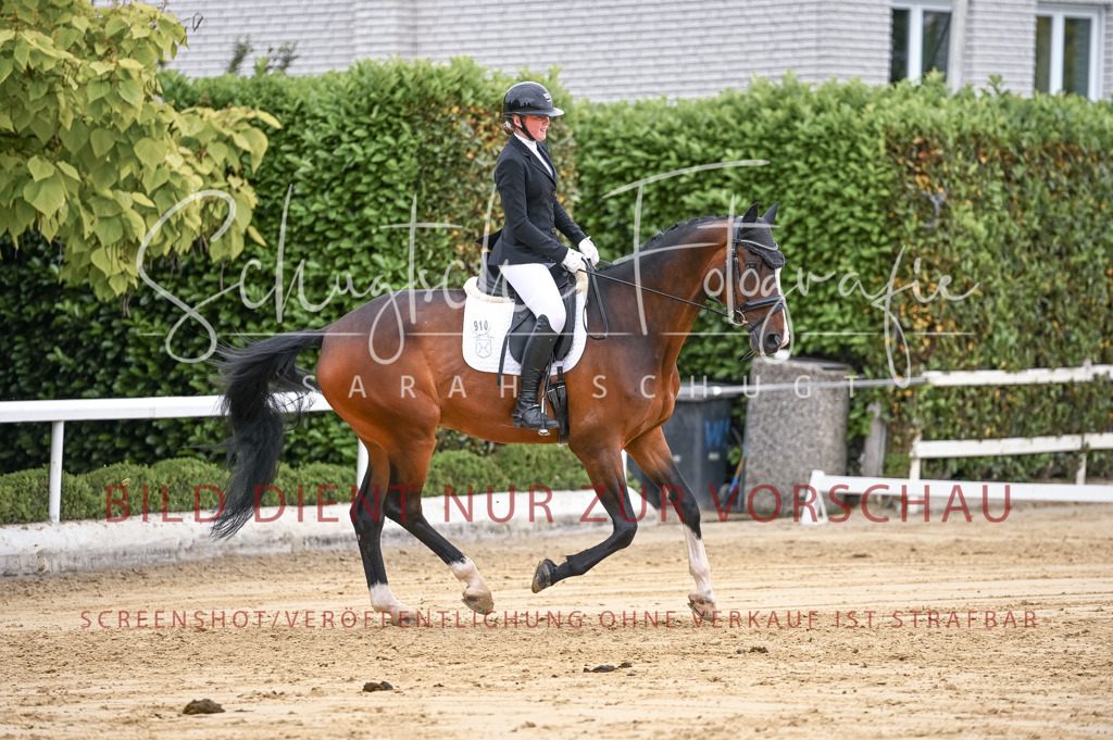Schugtsche-Aluta25-42.EDressur -148 | Schugtsche Fotografie - Realisiert mit Pictrs.com