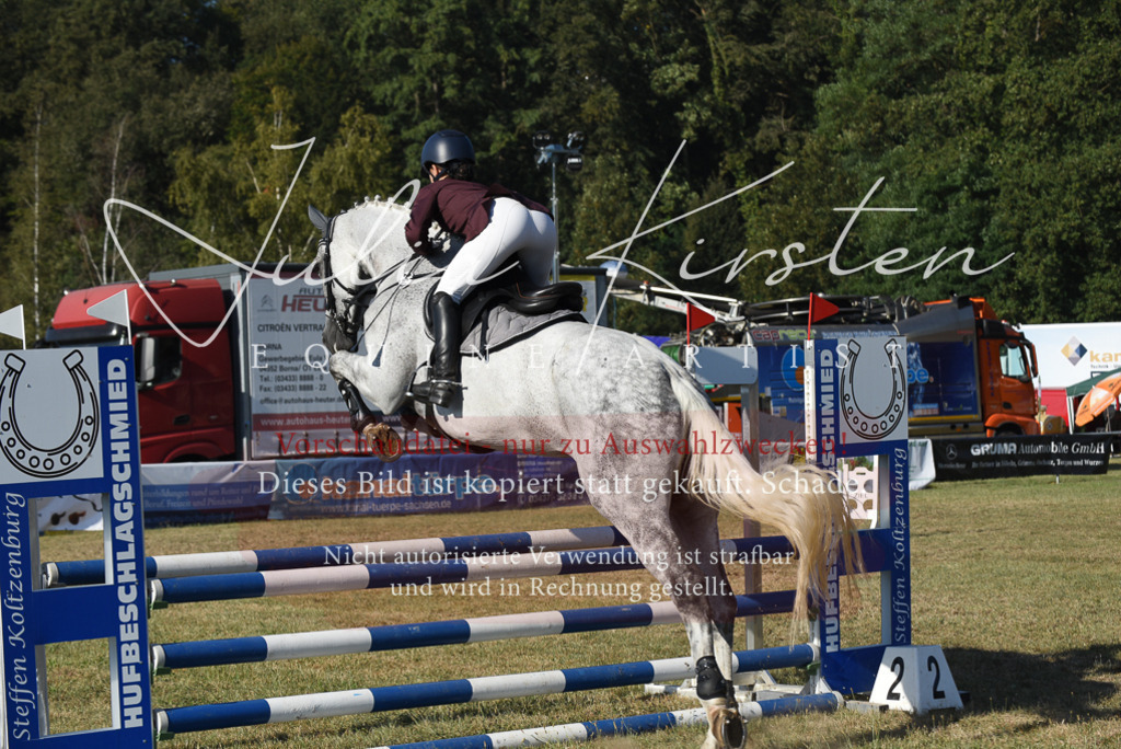 DSC_5250 | Pferde- und Turnierfotografie in Westsachsen. Pferdeportraits, Auftragszeichnungen und intuitive Kunst.