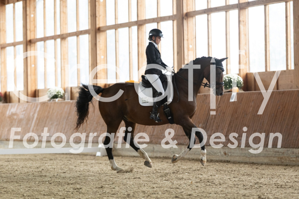 IMG_2653 | Creatify Fotografie