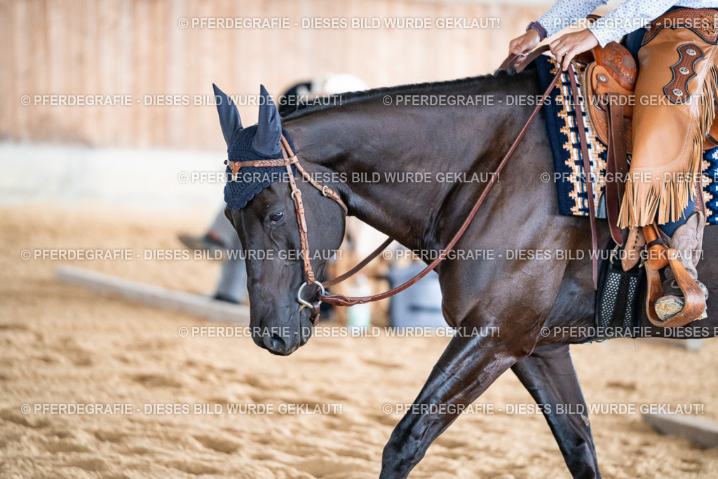 DSC08264 | Pferdegrafie