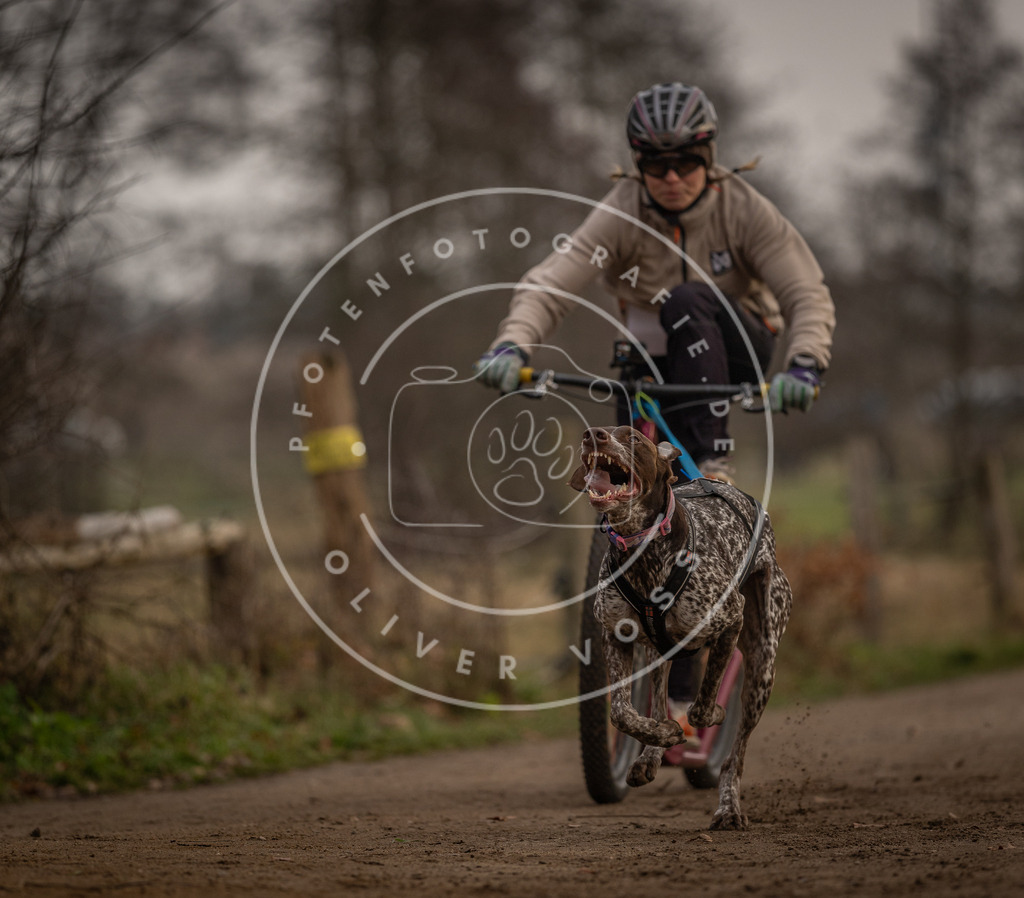 Pfotenfotografie_DV3A3963 | Hundefotografie, Tierfotograf, Pfotenfotografie, Fotoshooting Hund, Hunde Portrait, Hundesport, Hundeportraits, Heideshooting, Hunde, Sportfotograf, Hundefotograf, Turnierhundsport, THS,  - Realisiert mit Pictrs.com