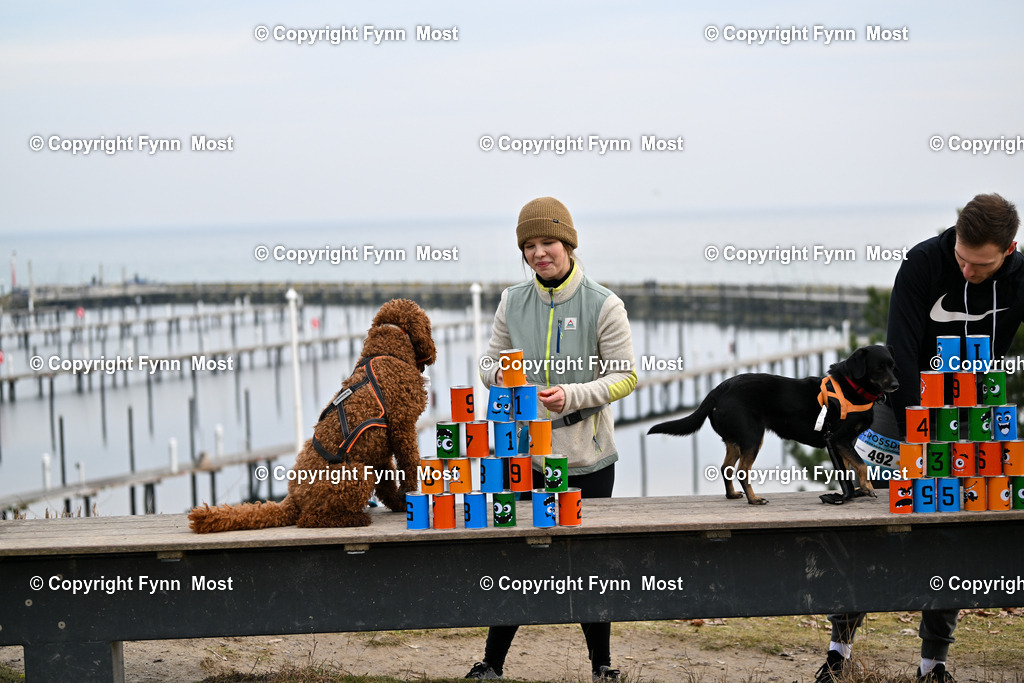 DSC_3856 | Hallo und herzlich Willkommen auf meiner Shop-Seite Fynn Most.

Ich wünsche Dir viel Spaß beim stöbern durch die Bilder, wenn Du Fragen hast oder Bilder vermisst, kannst du mir gerne eine Nachricht schreiben. - Realisiert mit Pictrs.com