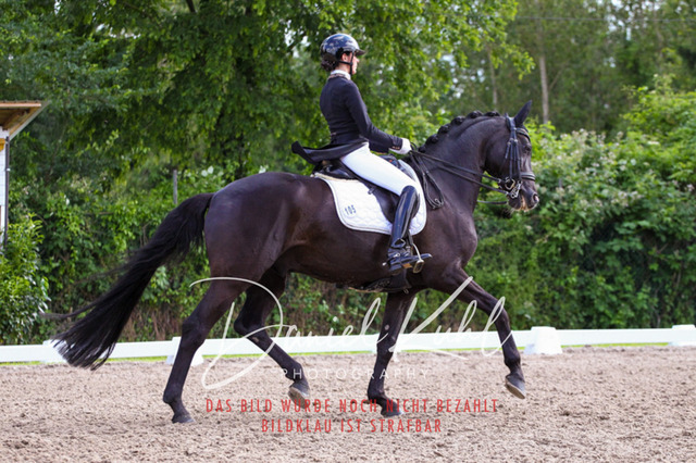 DKP41527 | Deine Turnierfotos vom Reitturnier online kaufen: Dressur, Springen & Siegerehrung. Professionelle Pferdefotografie aus dem Rheinland – als Download & Print.Alternative: Turnierfotograf für den Pferdesport: Finde deine Fotos von Dressur- und Springturnier