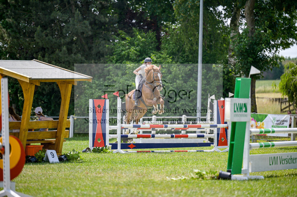 Reitturnier Voxtrup | Entdecke hochwertige Reitturnierfotos von Foto Oger. Professionell, emotional und authentisch – jetzt Lieblingsmomente im Shop bestellen.Deutschlandweite Turnierfotografie. - Realisiert mit Pictrs.com