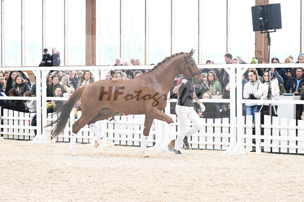 Devotion_7240537 | hf-fotografie - Realisiert mit Pictrs.com