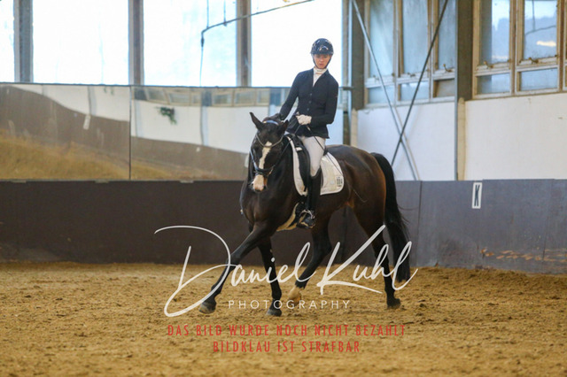 IMG_7193 | Turniersportfotografie; Pferdefotografie; Dressurfotografie