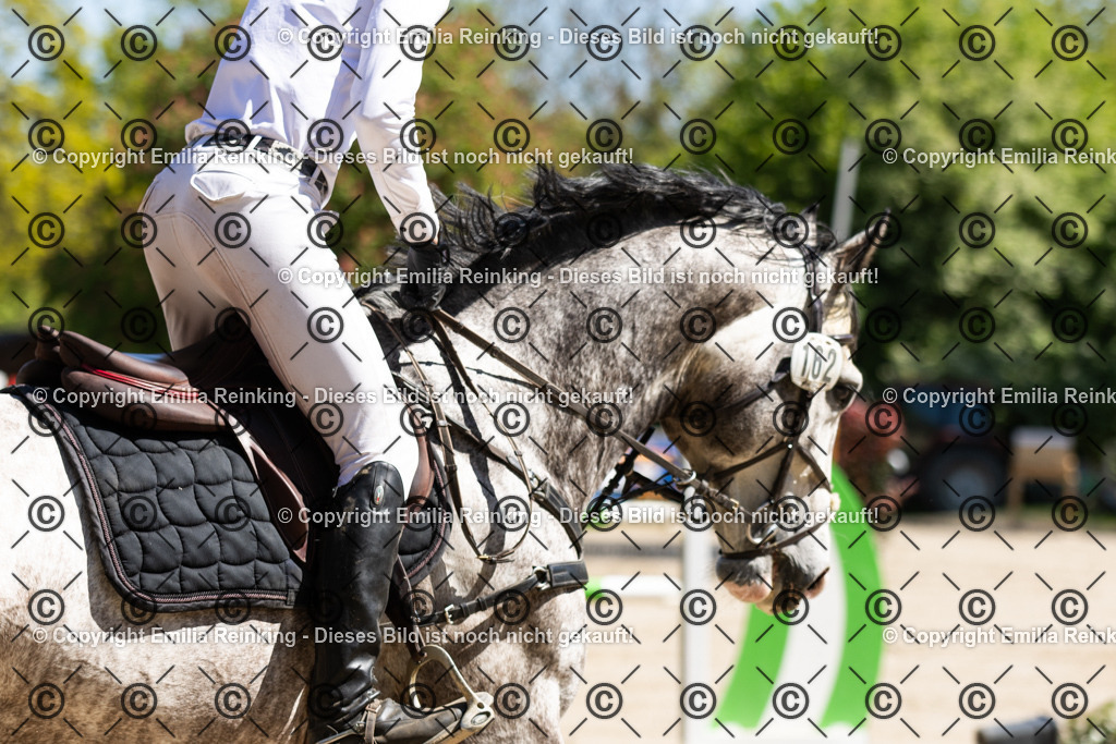 CL5A2674 | Emilia Reinking Fotografie - Realisiert mit Pictrs.com