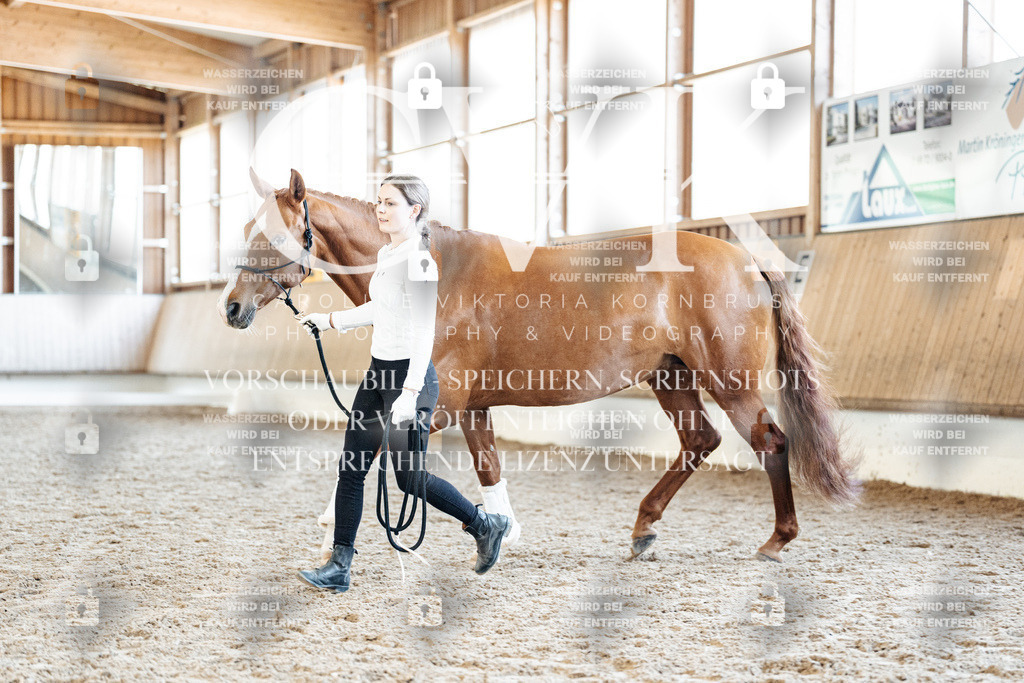 CK906923 | Turnierfotografie Pferdefotografie Trier Rheinland-Pfalz Pferdesport Reitsport Tierfotografie Sportfotografie Pferdevideo Pferdevideografie Equestrianvideography equestrianphotography  - Realisiert mit Pictrs.com