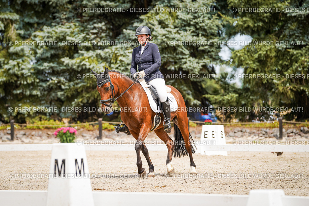 DSC03825 | Pferdegrafie