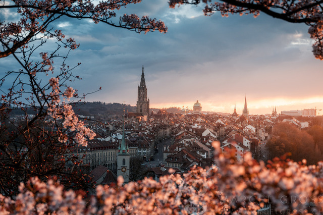 cherry blossom in Berne with Berner Münster and oldtown | Die ideale Geschenkidee für Naturliebhaber. Naturbilder von Marcel Gross Photography für ihr Zuhause in den verschiedensten Formaten und Materialien. - Realisiert mit Pictrs.com